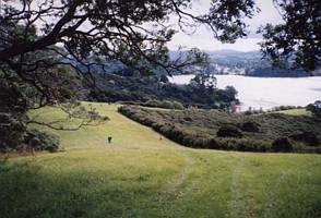 Image of tn_mahurangiabtc02topofgrunt.jpg