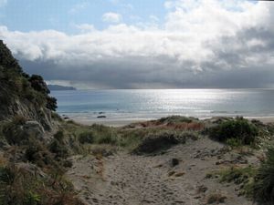 Image of tn_mangawhaioct08babeach.jpg