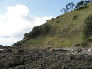 Image of tn_mangawhaioct08cdbreak.jpg