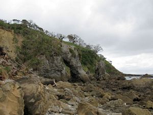 Image of tn_mangawhaioct08charch.jpg