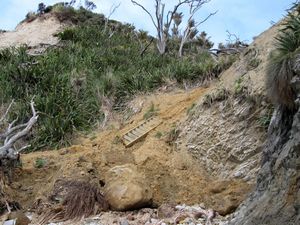 Image of tn_mangawhaioct08ecslip.jpg