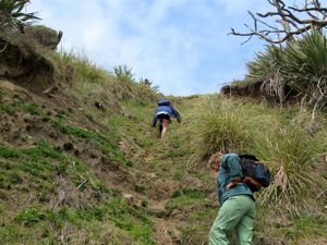 Image of tn_mangawhaioct08edscramble.jpg