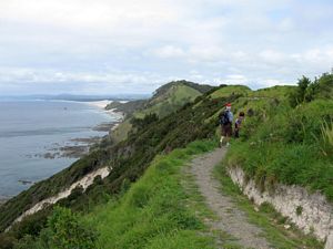 Image of tn_mangawhaioct08fbtrack.jpg