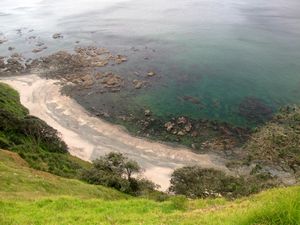 Image of tn_mangawhaioct08feplage.jpg