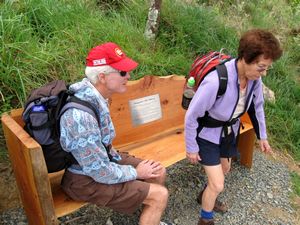 Image of tn_mangawhaioct08gachaise.jpg