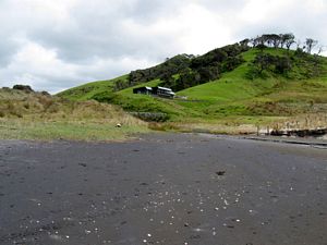 Image of tn_mangawhaioct08hbcolline.jpg