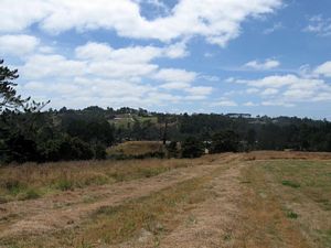 Image of tn_paremoremo09agtrack.jpg