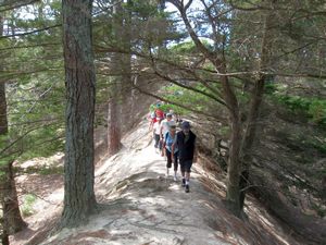 Image of tn_paremoremo09bhtrack.jpg