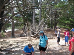 Image of tn_paremoremo09bmbreak.jpg