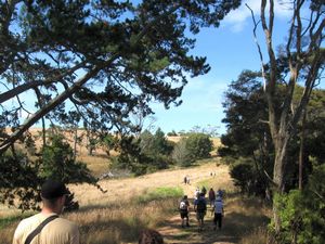 Image of tn_paremoremo09cbtrack.jpg