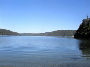 Image of tn_rotoruadaytrampsmay08003.jpg