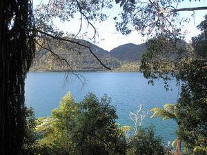 Image of tn_rotoruadaytrampsmay08009.jpg