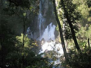 Image of tn_rotoruadaytrampsmay08028.jpg