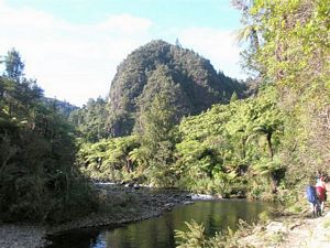 Image of tn_waitawhetatrainmay08052.jpg