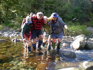 Image of tn_waitawhetatrainmay08pyj.jpg