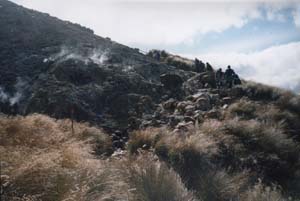 Image of tongariro02ketetahisprings2q.jpg