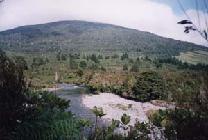 Image of tongariro02walkwaypihangaq.jpg