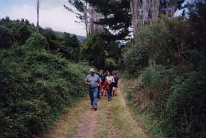 Image of tongariro02walkwayq.jpg