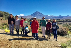 Image of tongariroapr18e.jpg