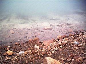 Image of tongarirofeb05greenlake.jpg