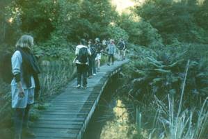 Image of tongariroforest02lagoonbridge.jpg