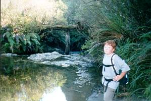 Image of tongariroforest02oldbridge.jpg