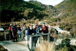 Image of tongariroforest02silicagroup.jpg