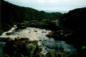 Image of tongariroforest02silicarapidsdownstream.jpg