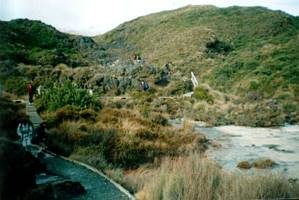 Image of tongariroforest02silicatrackrapids.jpg