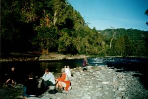 Image of tongariroforest02whakapapariver2.jpg