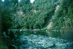 Image of tongariroforest02whakapapariverlagoontrack.jpg