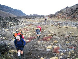 Image of tongarirojun07harddtrack.jpg