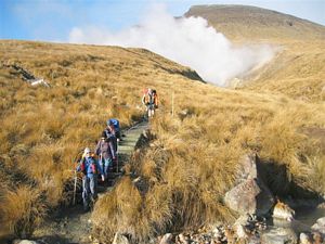 Image of tongarirojun07hardgketetahisprings.jpg