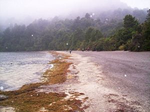 Image of tongarirojun07satbhbeach.jpg