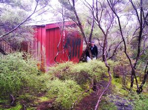 Image of tongarirojun07satdeoldshed.jpg