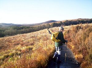 Image of tongarirojun07sunbdtrack.jpg