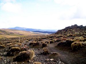 Image of tongarirojun07sunedviewofchateau.jpg
