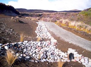 Image of tongarirojun07sunejtrackwork.jpg