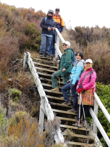 Image of tongarirooct14j.jpg