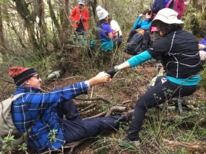 Image of tongariroqb21a.jpg