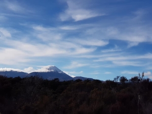 Image of tongariroqb21f.jpg