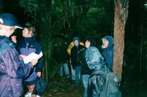 Image of torbay03awaruku2.jpg