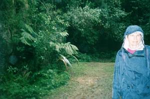 Image of torbay03awarukuquarry.jpg