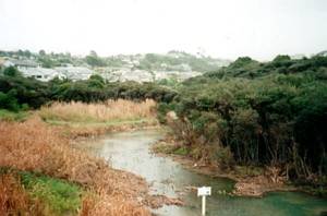 Image of torbay03pond.jpg
