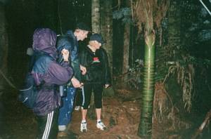 Image of torbay03torbayheightsnikau.jpg