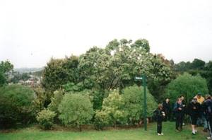 Image of torbay03torbayheightsreentry.jpg