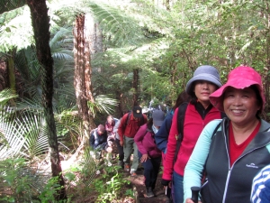 Image of torbaysep19h.jpg