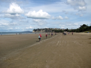 Image of torbaysep19p.jpg