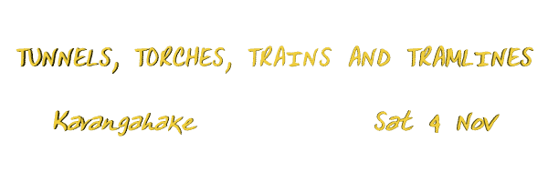 Image of torchestramlines06.gif