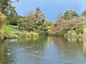 Image of totarapark21a.jpg